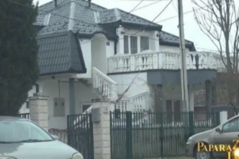 Kuća Branimira Nestorovića, 5. deo