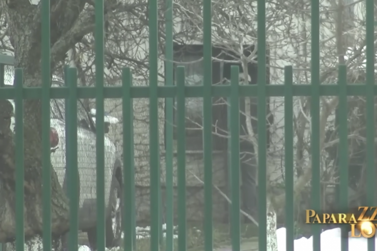 Kuća Branimira Nestorovića, 4. deo