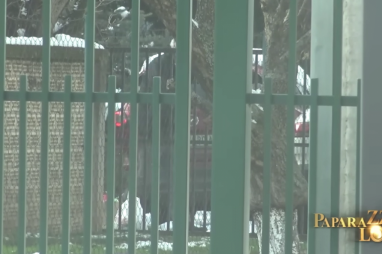 Kuća Branimira Nestorovića, 1. deo