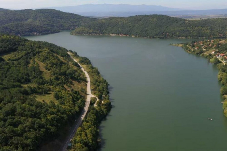 NESVAKIDAŠNJA POJAVA U SRBIJI! Uslikana ptica koja do sada nije viđena ...