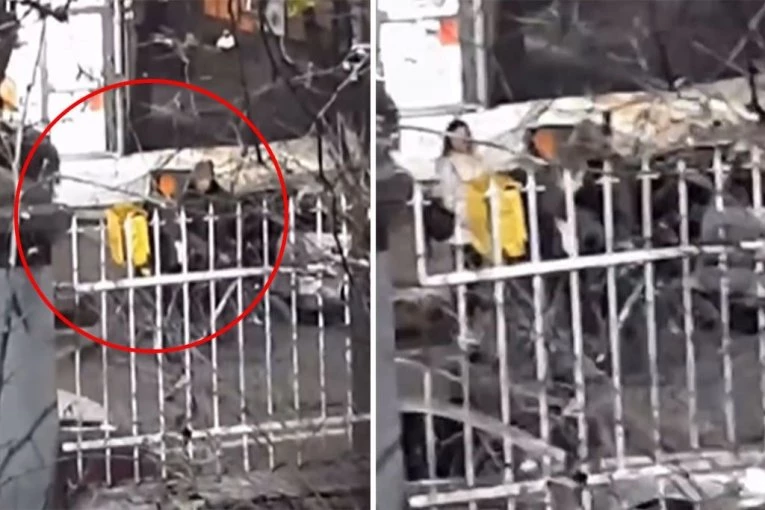 DA MI DECA NISU OVDE, ODVALIO BIH TE: Nesvakidašnja svađa u centru Beograda - sve počelo kada je biciklista ogrebao automobil vozaču četvorotočkaša!