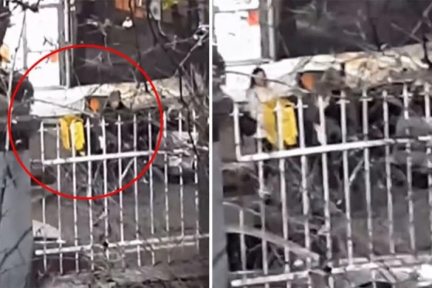 DA MI DECA NISU OVDE, ODVALIO BIH TE: Nesvakidašnja svađa u centru Beograda - sve počelo kada je biciklista ogrebao automobil vozaču četvorotočkaša!