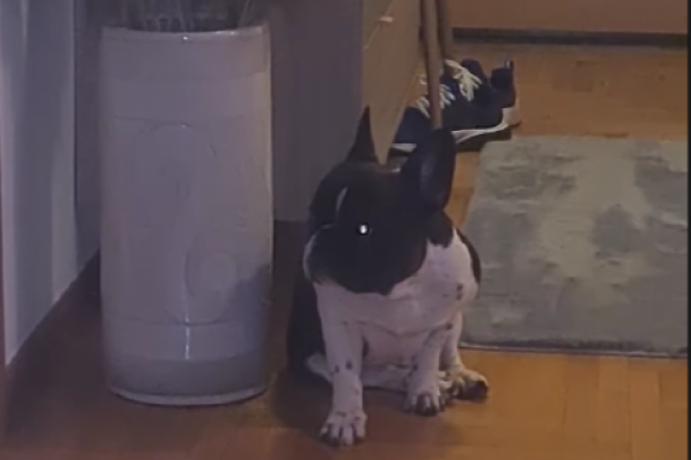 Ana Ćurčić Instagram