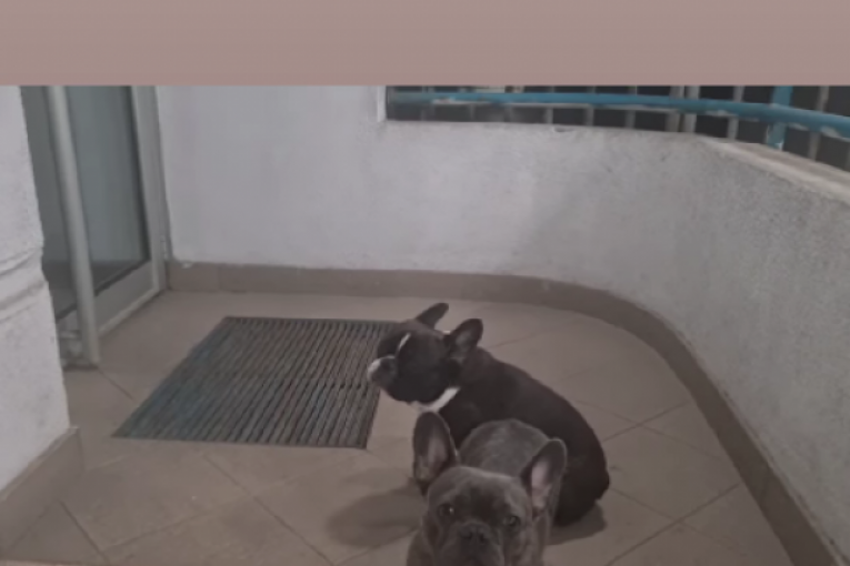 Ana Ćurčić Instagram