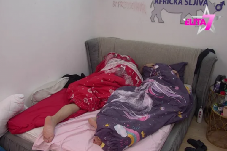 Miljana Kulić i Zola