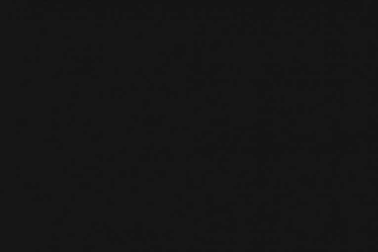 Milan Stanković instagram