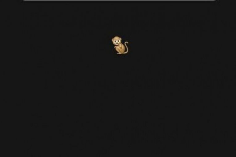 Milan Stanković instagram