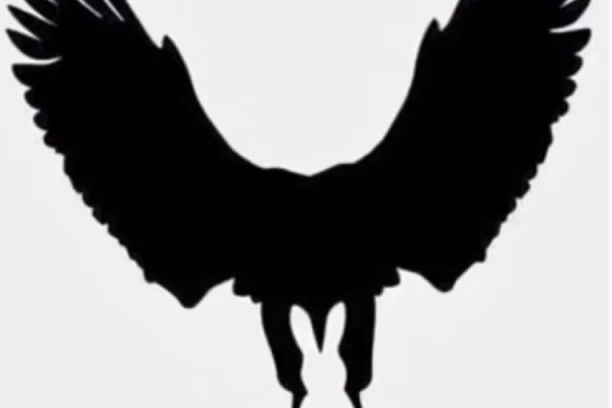 ŠTA STE PRVO UGLEDALI? Ova optička iluzija će vam OTKRITI sve što ste duboko u sebi potisnuli!