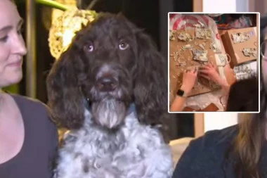 LJUDI MOJI, JE L' OVO REALNO? Američki par poludeo od muke kad su videli šta je pas uradio s kovertom punom keša! (VIDEO)