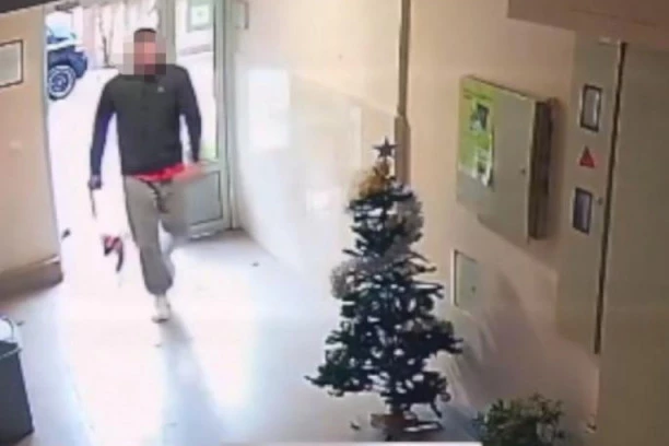 ZAŠTO BI OVO NEKO URADIO?! Skandal u ulici Vojvode Vlahovića RAZBESNEO BEOGRAĐANE: Muškarac ušao u zgradu sa psom, a onda... (VIDEO)
