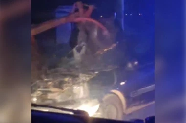 TEŠKA SAOBRAĆAJKA NA BATAJNIČKOM PUTU: Auto se zakucao u traktor - priključna mašina prošla kroz vetrobransko staklo!