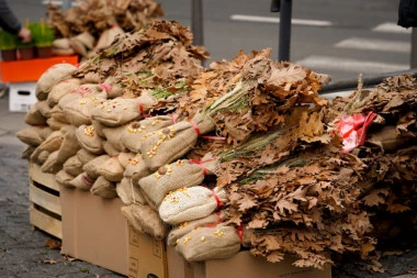 ZA BADNJAK U BEOGRADU 10.000 DINARA! Najpohlepniji ulični prodavac - građani ŠOKIRANI!