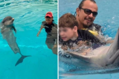 ODRASTANJE U ZALIVU SA DELFINIMA ODREDILO MU JE SUDBINU: Nikola otkriva kako kroz delfinoterapiju pomaže deci sa smetnjama u razvoju