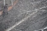 TEMPERATURA U HRVATSKOJ ZA 24 SATA PALA CELIH 20 STEPENI! U Gorskom kotaru pada sneg!