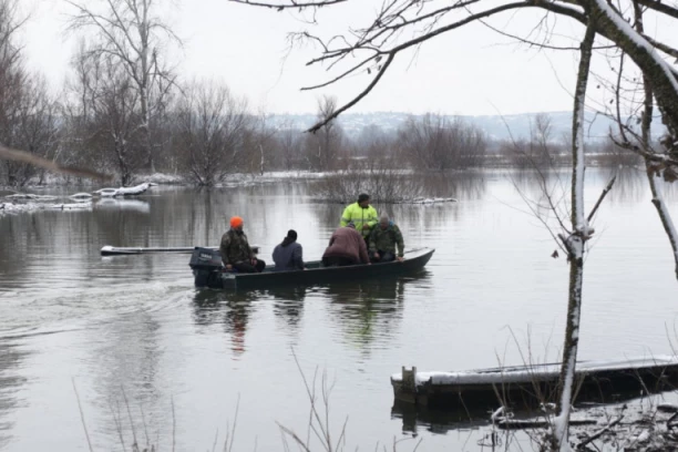 DA JE VODA "PORASLA" JOŠ 30 CENTIMETARA, STOKA BI BILA POTOPLJENA: Najnovije informacije O ZAROBLJENIM ŽIVOTINJAMA na Krčedinskoj adi! Ekipa Republike prati spasavanje (FOTO, VIDEO)