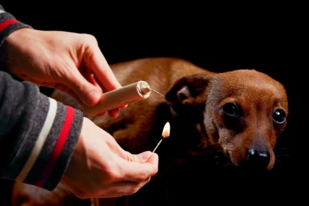 DRŽAO OGROMNU PETARDU U RUCI: Stariji muškarac poginuo u novogodišnjoj noći, pas uginuo od straha