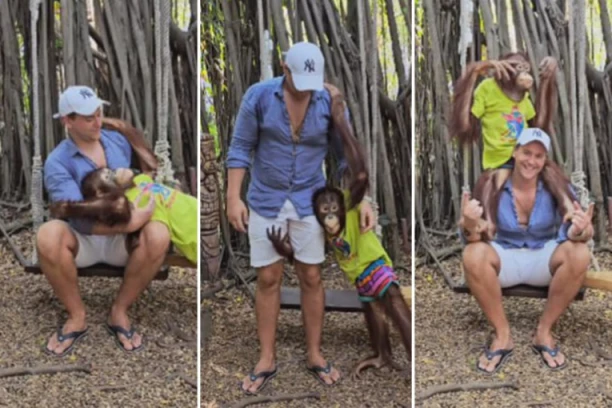 MAJMUN GA UHVATIO ZA MEĐUNOŽJE, PA SKOČIO NA NJEGA I KRENUO DA GA LJUBI: Hit snimak našeg popularnog glumca kruži internetom!