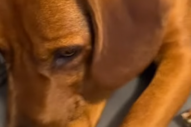 Stefan Karić Instagram