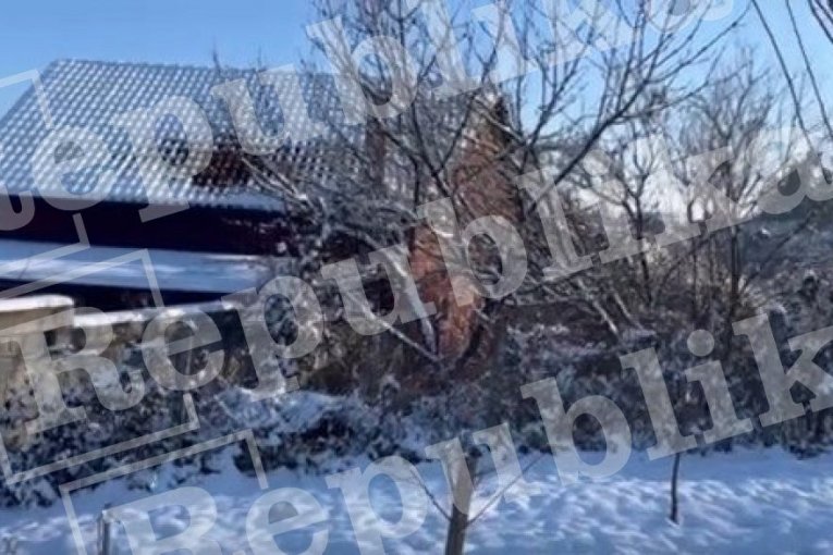 Kuća smrti sa zadnje strane