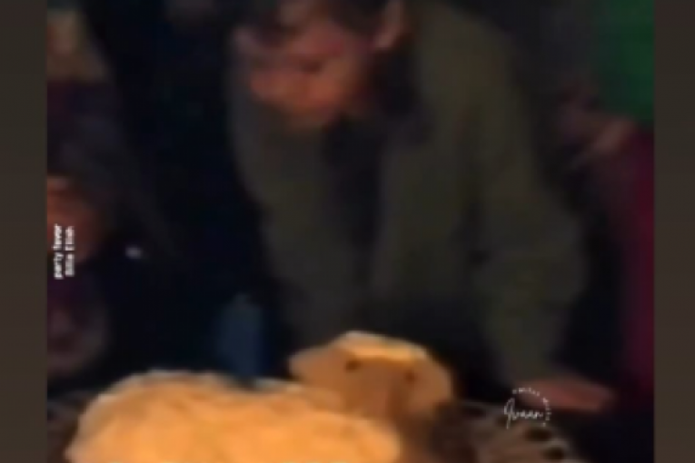 Miloš Biković Instagram