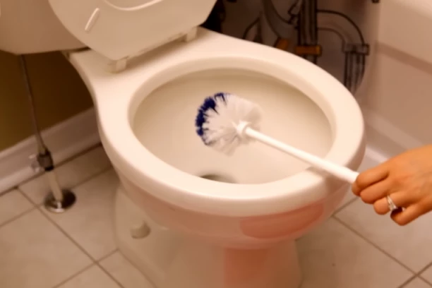 NAJJEDNOSTAVNIJI NAČIN ČIŠĆENJA ČETKE ZA WC ŠOLJU: Samo POPRSKAJTE OVIM sastojkom i ostavite je tako deset minuta!