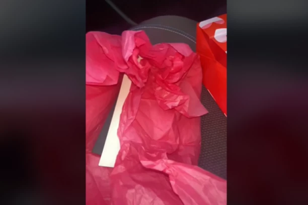 "ŠUTNULA" DEČKA, A ONDA JOJ JE OVO STIGLO NA ADRESU: Njegov POKLON je sve ZBUNIO, to još NIKO nije doživeo (VIDEO)