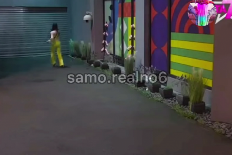 Miljana gađa prozore