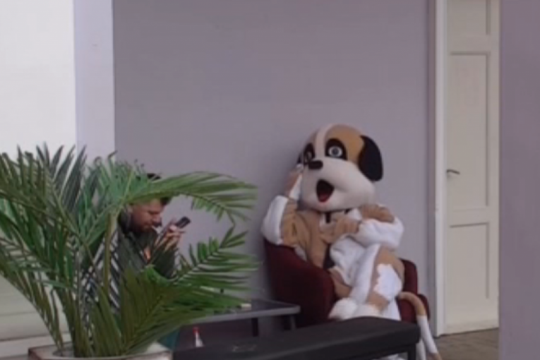 Janjuš i Uroš Stanić