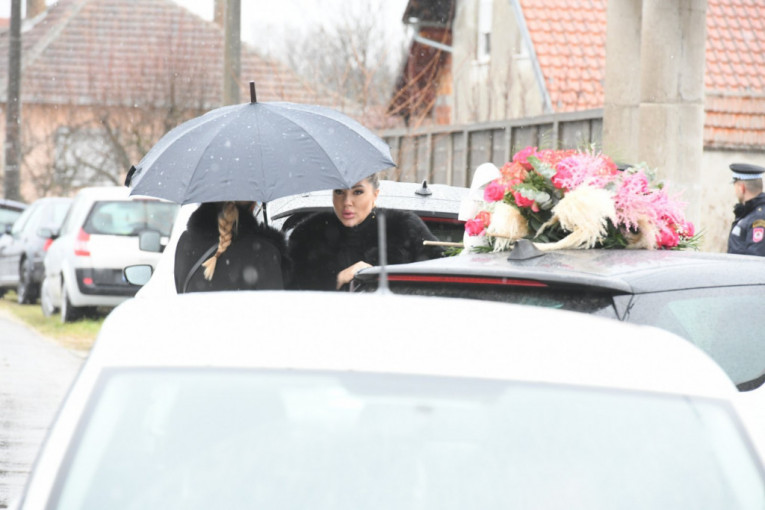 Andrijanine drugarice, 5. deo