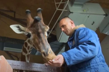 PRIČA KOJA JE POGODILA REGION! Riste i njegova ŽIRAFA umrli su u istom danu: Kako su životinje ispratile svog najdražeg čuvara do poslednjeg daha!