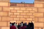 MAJMUN JE OTEO TELEFON I POBEGAO NA KROV: Kad je video šta je grupa ljudi potom uradila odlučio se na neočekivan potez (VIDEO)