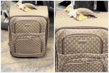 KUPIO JE DAVNO IZGUBLJENI KOFER ZA 90 EVRA: Kada ga je otvorio bio je zapanjen šta je pronašao unutra! (FOTO+VIDEO)