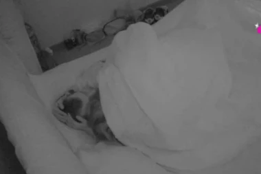 ANELI ZAJAHALA JANJUŠA, NIJE MOGLA DA SE OBUZDA NA NJEMU: Pokazala GLAVNO UMEĆE, ovako je ZAVELA i ŠVALERA?