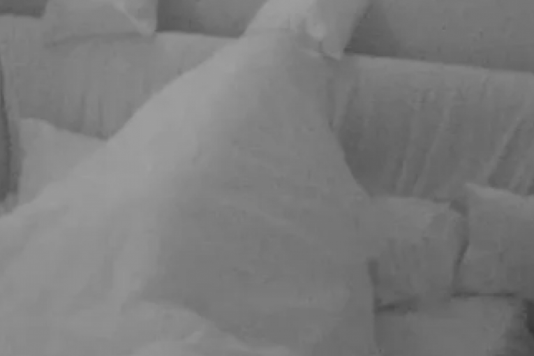 Aneli Ahmić i Marko Janjušević Janjuš