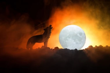 VEČERAS JE VUČJI MESEC, TRI ZNAKA NEKA SE SPREME ZA MNOGO NOVCA: Mnogima je idealna prilika da ZASIJAJU dok će jedan "uvenuti"