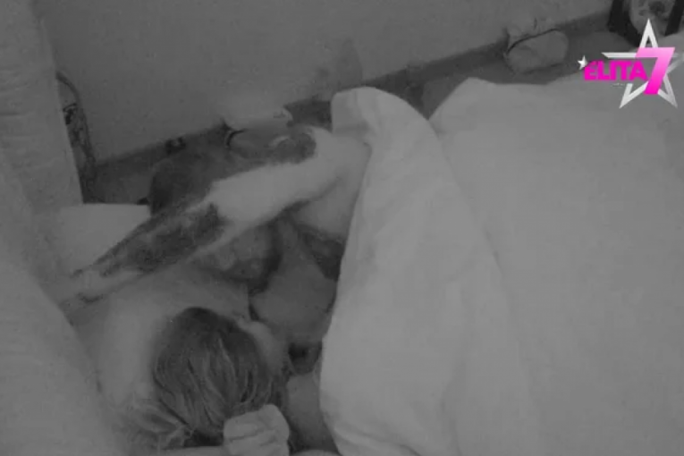 Janjuš i Aneli vrela akcija Elita