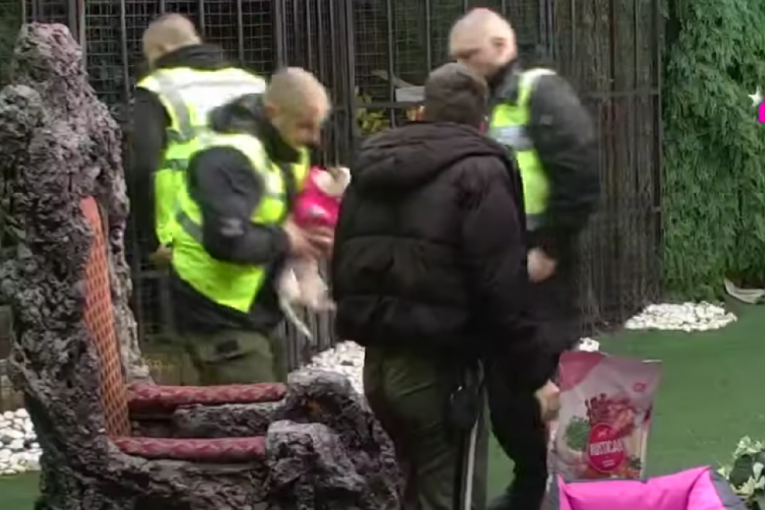 Uroš Stanić Elita dobio psa za Janjuša