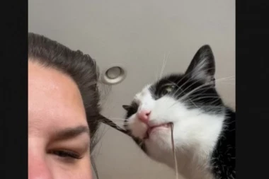 MAČKA SE IGRALA SA NJENOM KOSOM, A ONDA JE VLASNICA VRISNULA: Evo šta je uradila životinja, što je devojku ostavilo u šoku!