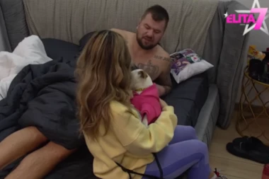 JANJUŠ I ANELI SPAVAJU U PSEĆEM URINU: Celu noć i ceo dan par se valjao po posteljini koju je UNEREDILO KUČE (VIDEO)