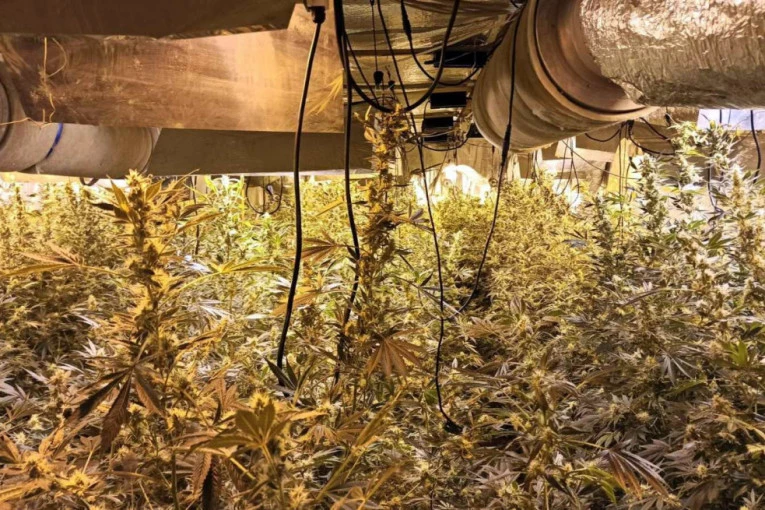 UHAPŠEN ZBOG DROGE: Krio laboratoriju u pomoćnom objektu (FOTO)