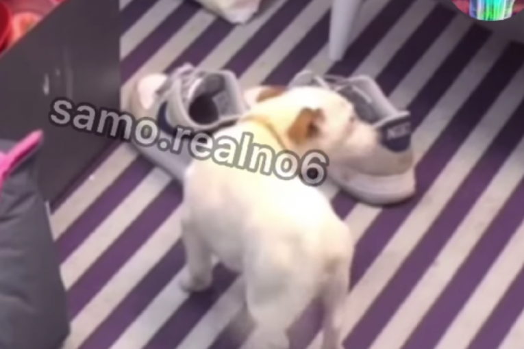 Aneli Ahmić sa Janjuševim psom Elita