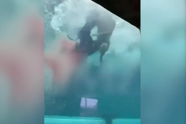 AJKULA ŠČEPALA DEČAKA (10) ZA NOGU ČELJUSTIMA! Isplivao snimak STRAVE na Bahamima - mališan pokušavao da se izmigolji NEMANI! (UZNEMIRUJUĆ VIDEO)