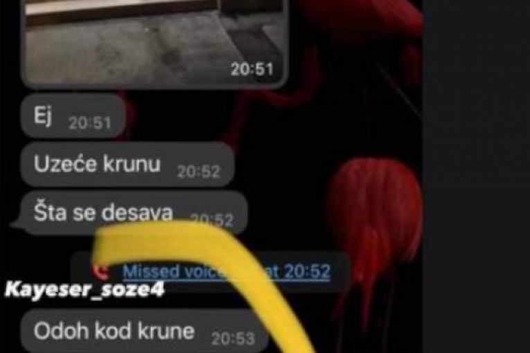 Prepiske Jelene i Janjuša