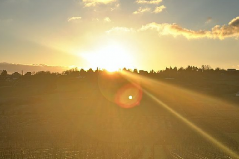 Stanija Dobrojević Instagram