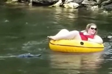 UŽASNA SCENA NA JEZERU: Žena se borila protiv aligatora dok je pokušavala da dođe do obale! (VIDEO)