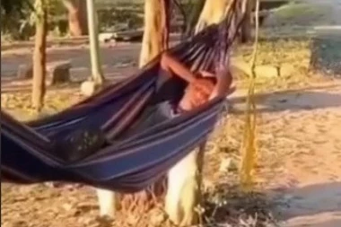 ODMARAO JE NA LJULJAŠCI, A ONDA SE ODJEDNOM OVA ZVERKA SRUŠILA NA NJEGA: Unezvereni čovek nije znao šta ga je snašlo od šoka! (VIDEO)