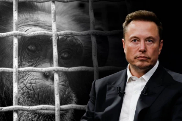 SKANDAL! Maskova kompanija ubila najmanje 1.500 životinja užasnim eksperimentima, otkriva šokantan dosije!