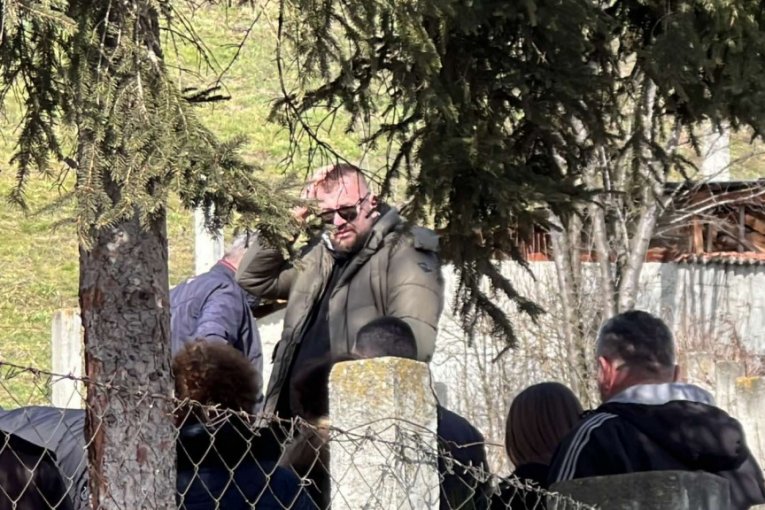 Mihailo Janjušević pomen