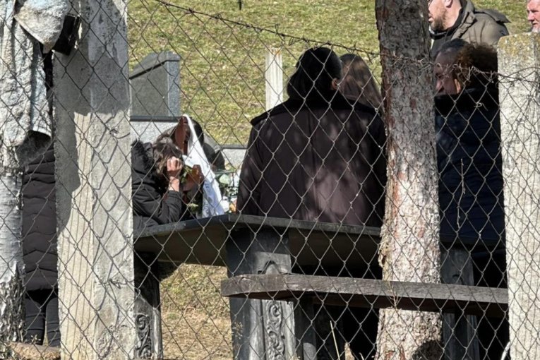 Mihailo Janjušević pomen