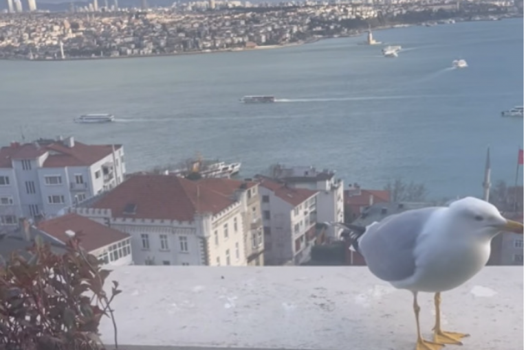 Duško Tošić Instagram